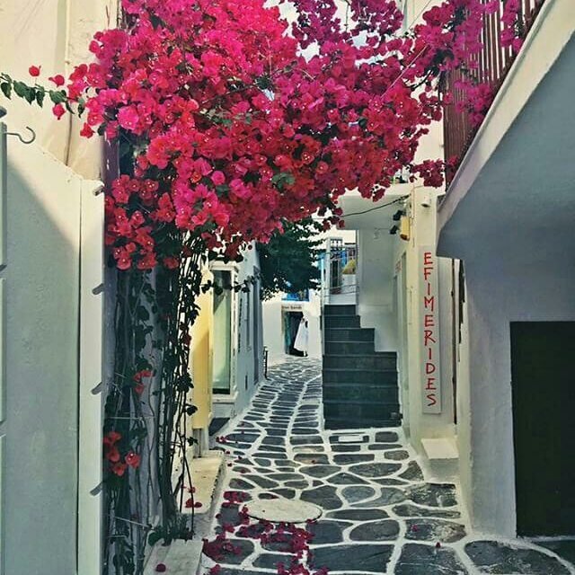 greecelovR's tweet photo. 🇬🇷 💖 Sunday strolling on Mykonos narrow alleys through the eyes of our friend #instabreaks #traveltogreece #greeceholiday #seasonholiday#greekislands #greecevillas #villas #villaholiday #wishyouwherehere #athensvoice #grece #grecia #греция #vacations #saintfridays #saintfriday https://t.co/J9KQGidQ65