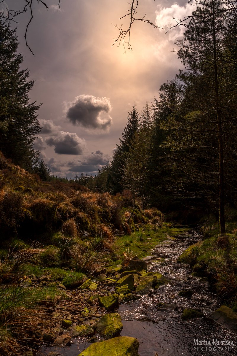 HappyOnTheHills's tweet photo. Limestone Brook at Lead Mines Clough @StormHour @SnapYourWorld @ThePhotoHour @BBCEngland  @VisitLancashire #Lancashire https://t.co/d4V5x7GpGB