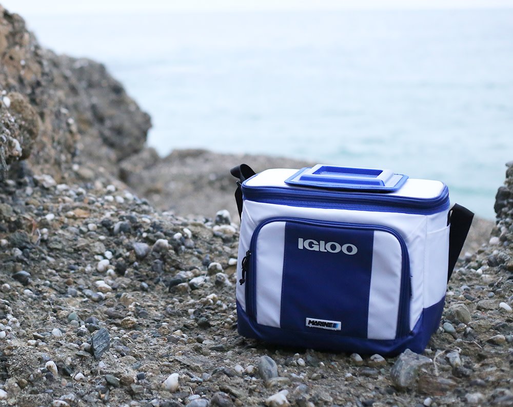 iglooproducts's tweet photo. MaxCold insulation, top hatch for easy access, &amp; removable padded shoulder strap. 
___
#iglooanywhere #igloocoolers #coolerbag #marine #igloomarine #outdoorgear #coastallife #waterfront #lifeonthewater #gonefishing https://t.co/nSxr6qrW4q