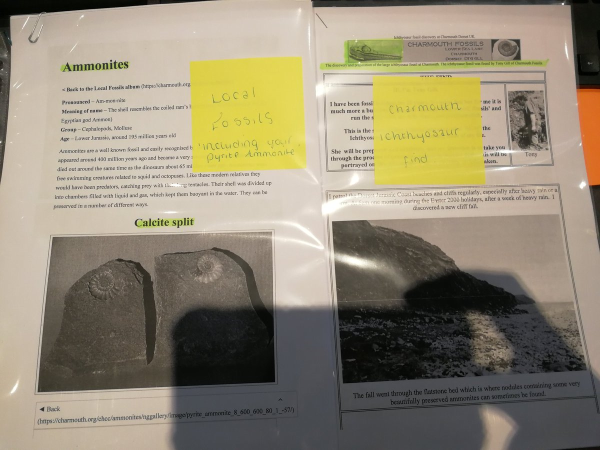 Fossil guide info handpicked for one of my small people guests including photocopies from my own books... He put my fossil knowledge to the test and was only 9years old!!! #piwow #charmouth #GWW #greatwallwarrior @PIWEYMOUTHSF <a href="/linfred462/">Mark Linnington</a> <a href="/RakeshMistry87/">Rakesh Mistry</a> <a href="/PIHantsHearts/">HampshireHeartsPI</a> <a href="/SDEBDD/">simon ewins</a>