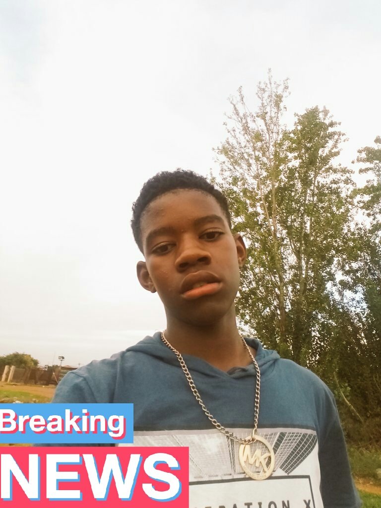 catapiter ice tweet media