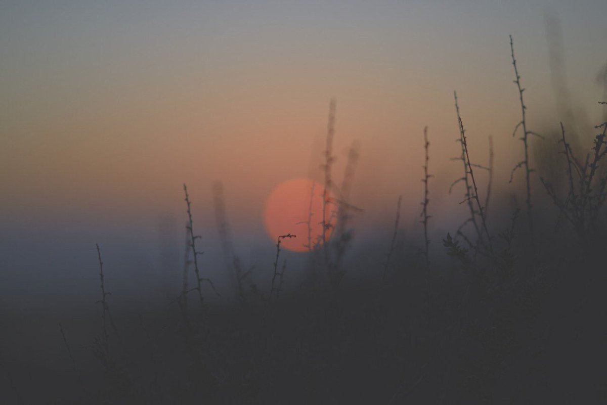 kime ait olduğunu bilmediğim, son zamanlarda gördüğüm en güzel puslu manzara fotoğrafları