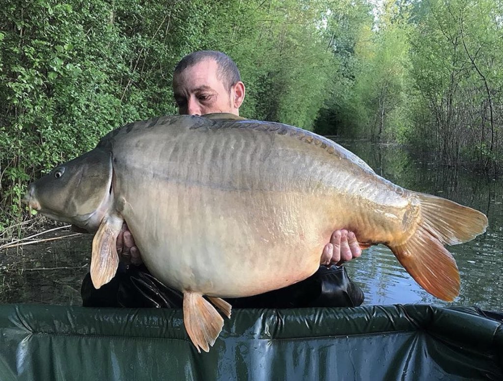 Charlou_Carping's tweet photo. Itβs not over till the fat lady sings... two rod reeled in and packed away and mike in peg 3 gets a well earned mirror of 46lb 10oz #a2baits #lastminute π£π£π£ https://t.co/MNIETCWxMZ