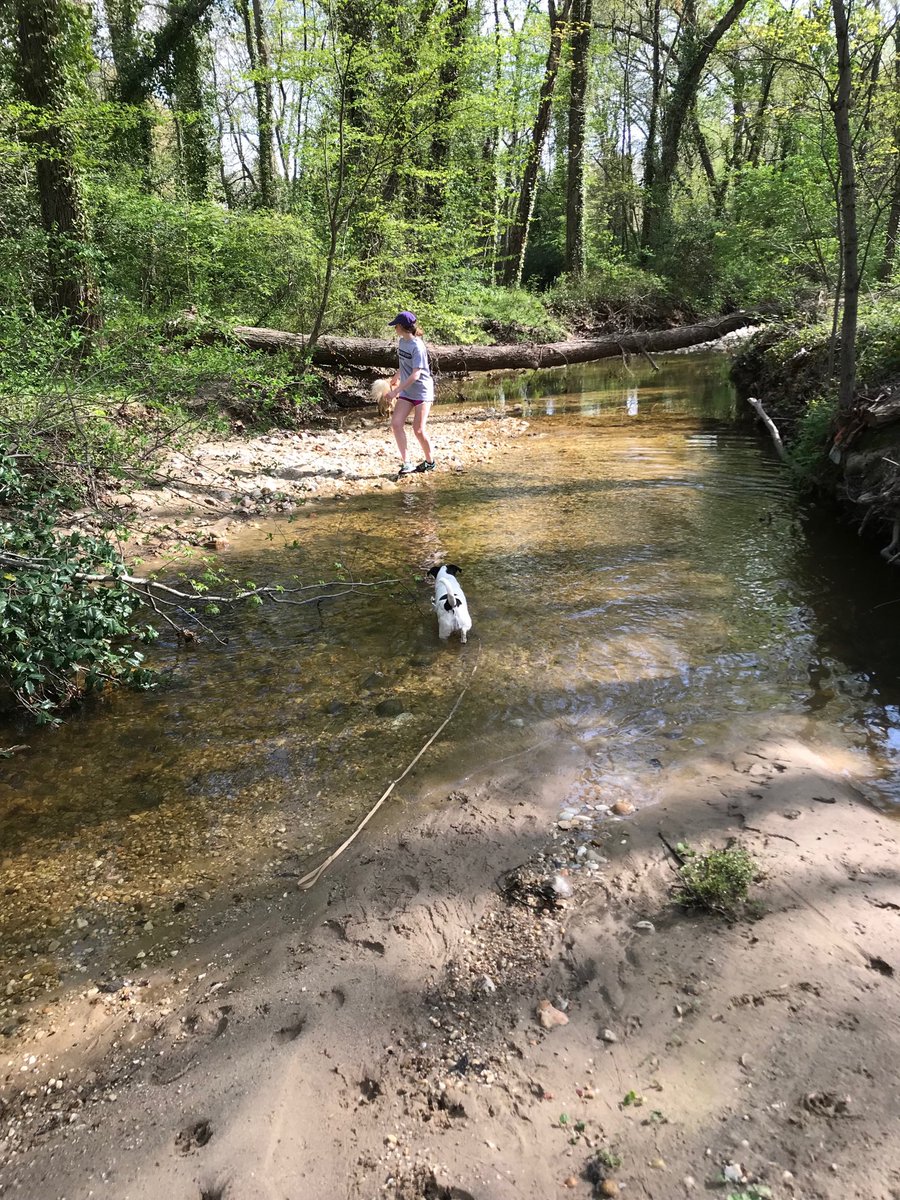 ddittman's tweet image. Even Bowie’s goin’ deep... #Backyardshenanigans