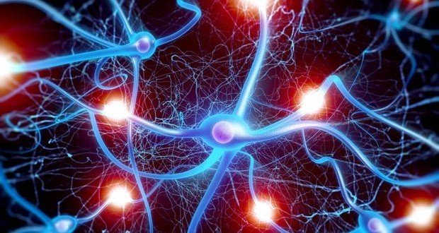profdrasifbashi's tweet photo. #Neurosurgery: Why do you need a qualified neurosurgeon? #DrAsifBashir
https://t.co/FoEkWy55FI https://t.co/NBqXCT8Ncz