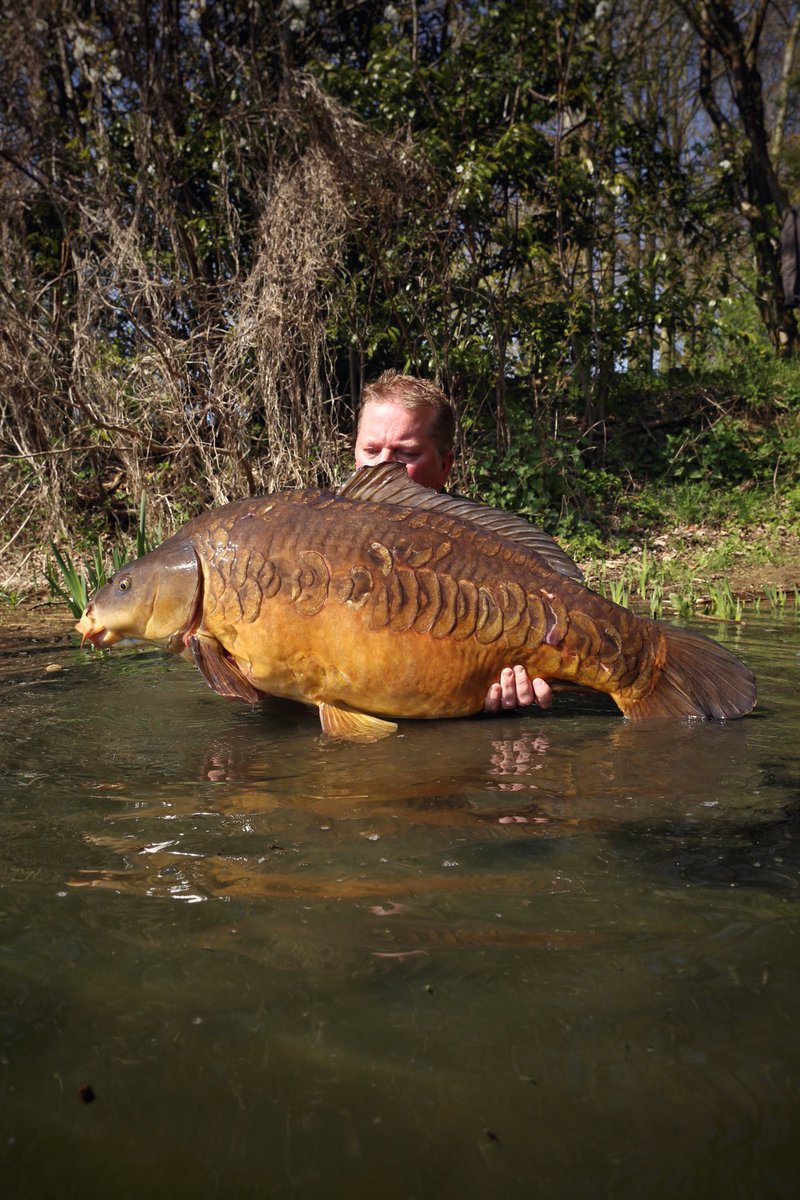 CarpStudy's tweet photo. The fish of my dreams! https://t.co/qqxwYRyRaq
