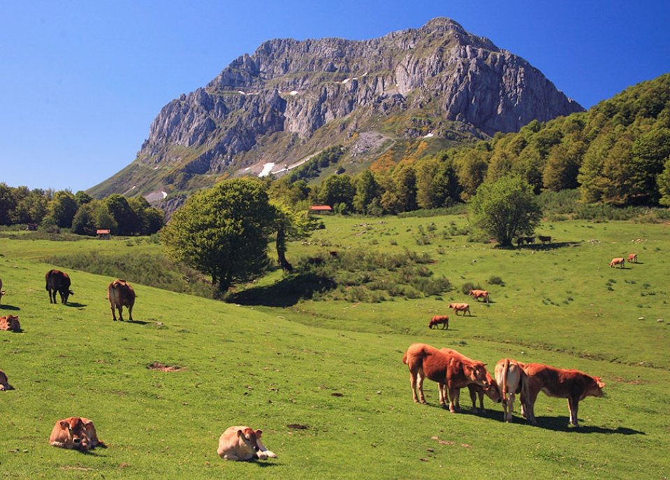 Esquinas_Leon's tweet photo. "@VientuNordes: Primavera en la vertiente leonesa de los Picos d'Europa.

Mayada de Vegabaño, Oseya de Sayambre, Llión https://t.co/4oiJCncFMR"