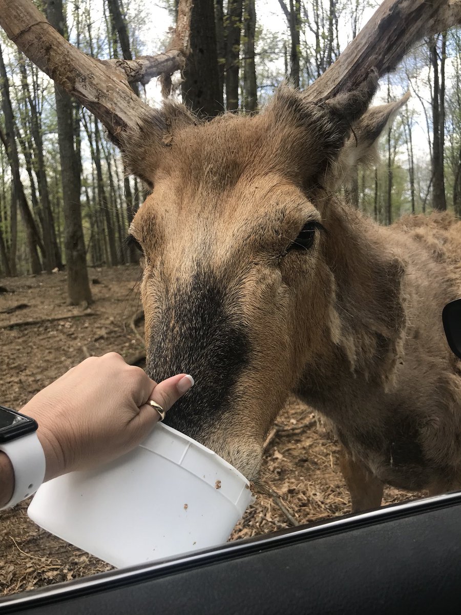 mckeount's tweet photo. Beautiful day for a Zoo 😋☀️ https://t.co/EBnBtn5CyF