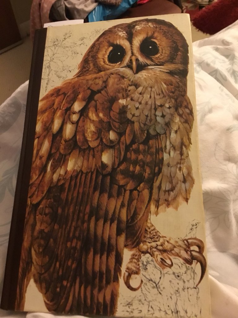 RachelBurch2's tweet photo. The book of British birds, Reader’s Digest (1981)
I love this book, I had it as a child then bought it again second hand a few years ago. Growing up in 80’s Norfolk I hadn’t seen a buzzard until I moved to Devon. I still love seeing and hearing them. #books https://t.co/tnKHMrNUxc