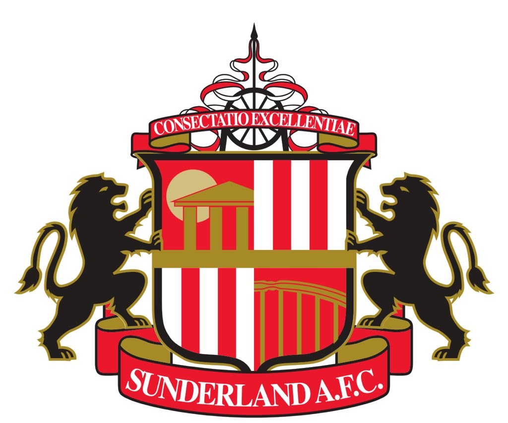 Sunderland are relegated to the skybet championship league 1. #SAFC