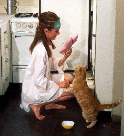 BarbaraBorrell2's tweet photo. Here's a accurate photo of me in the future ❤🐈💎👗 #BreakfastatTiffanys #audreyhepburn #Cat https://t.co/3f1XZEpJAn