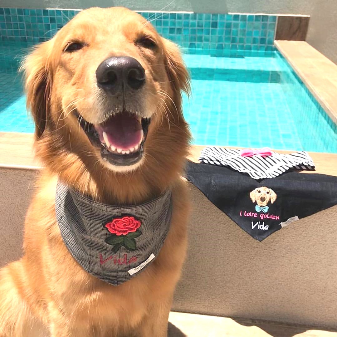 RetrieverHoa's tweet photo. When you get gifts from Thailand. Loved!! Tks .bkk ❤️                                               
Credit to : @vidas_life
DoubleTap &amp; Tag a Friend Below⤵ https://t.co/o6QAxsoKzw