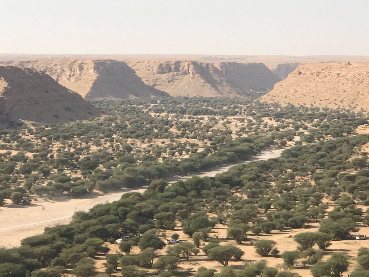 هذه هي نتيجة حماية وادي أوثيلان ، كانت حماية مشددة من الرعي وحتى من دخول السيارات ولمدة تقارب من ٢٠ سنة ، نتج عنها غابات كثيفة من أشجار الطلح والسمر شبه متشابكة ، فلنكن يداً واحدةً لأجل حماية أوديتنا وبيئتنا من العبث .