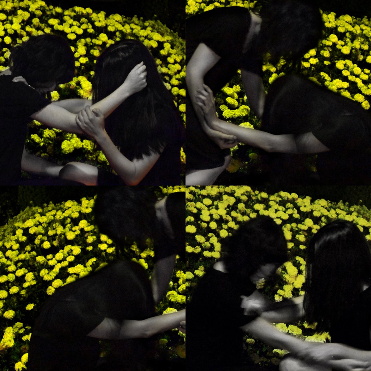 ReSoundSpace's tweet image. Opening up A-168 to the sun and the sounds
6/16/18
IMA