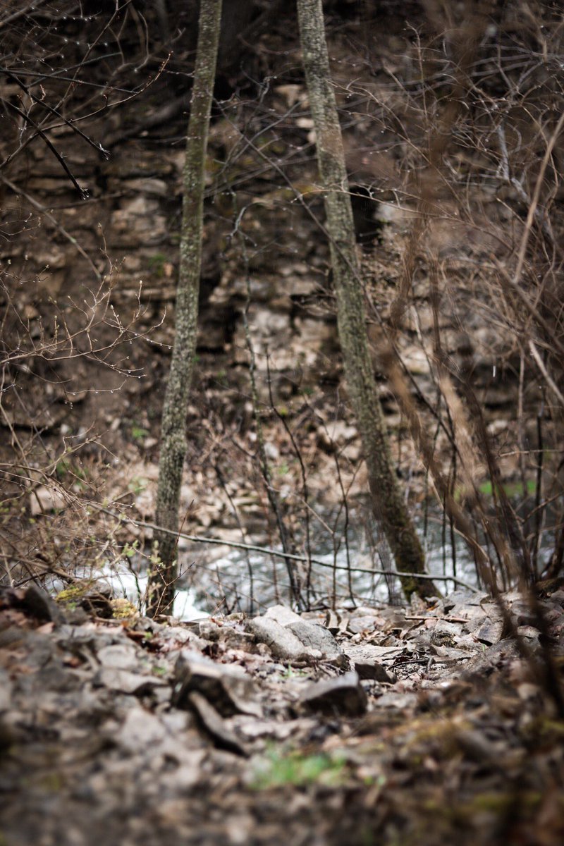 KalebLaidman's tweet photo. Awesome Photoshoot With My Lil Bro Today‼️💙 More pics soon!! #photography #photoshoot #photographer #brotherlylove #brothers #forest #forestphotoshoot #forestphotography • DM If You Wanna Go Shoot 🙏🏻🔥 https://t.co/jbaT2vVL4l