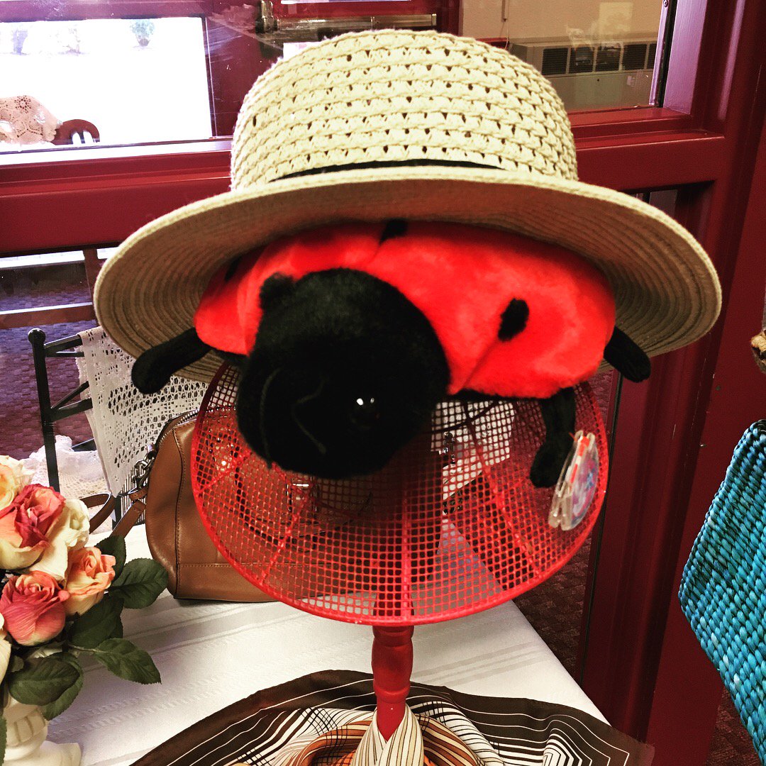 MilfordLib_DE's tweet photo. Our little Ladybug hopes that everyone had a happy Bug and Bud Day!
🐞🌳
#bugandbudfestival #library #librarian #ladybug #bugandbud #festival #book #fun #happy https://t.co/BK73RgNhf4