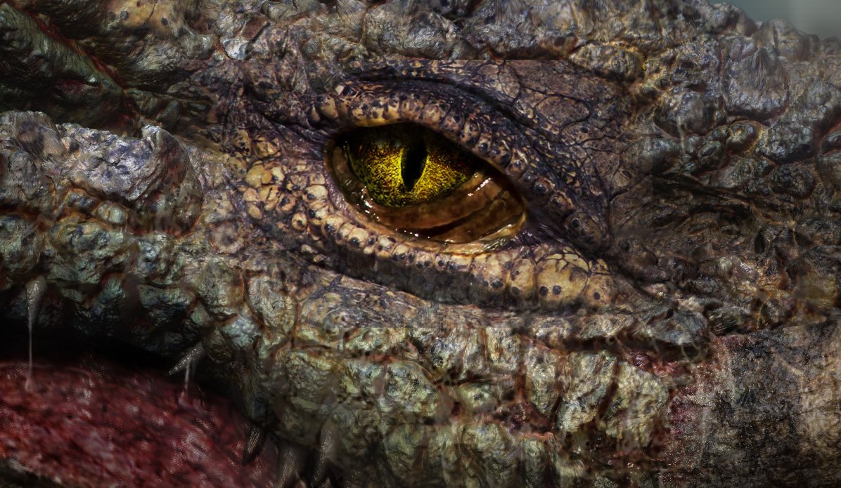 _ASCreative's tweet photo. *notscarednotscarednotscared* --- Full body and close up creature design for 'Lizzie' the extra large and *not scary* croc from 'RAMPAGE' #asc #lizziethecroc #rampagethefilm #intheaters #conceptdesign #monsterart #actuallyterrified #scalemodel #creatureart #sideeyegoals https://t.co/EiwzOXn3Sc