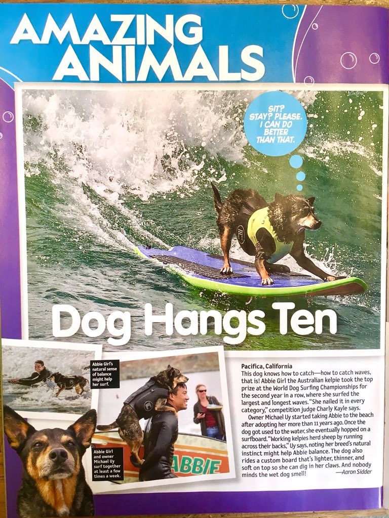 WorldDogSurfing's tweet photo. World Dog Surfing Championships in National Geographic Kids magazine (mentions include @abbiesurfs , Judge @charlykayle , and @PacificaCoC )

#dogsurfing #dog #surfing #pacifica #surfdog #surfdog #NationalGeographicKids #surfingdog #dogs https://t.co/ykgk2S0SlU