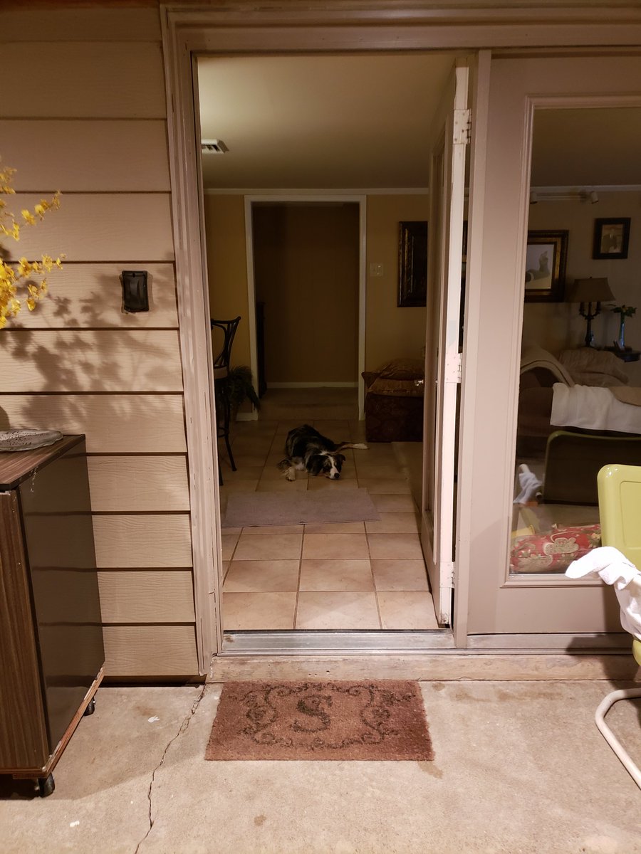 imsarahspooch's tweet photo. My bff Blue. Poor devil, tried to make it to the backyard after a hard playday. The spirit is willing but the flesh.... https://t.co/3plzYt1vtJ