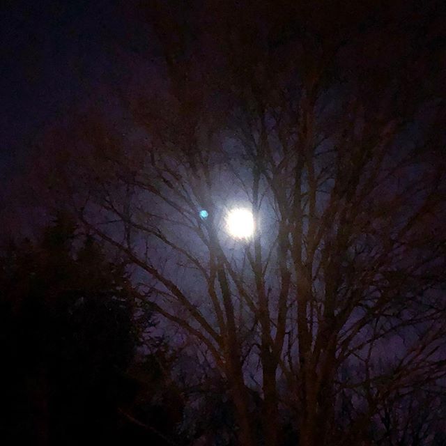 AbandonMansion's tweet photo. “I feel the pull of the full moon Before I look to the sky to see. Is it deja vu Or Ophelia calling out to me?”©️ #fullmoon #moon #ophelia #dejavu #pullofthemoon https://t.co/jM6Ps7MfUe https://t.co/ta2ldd0Lpf