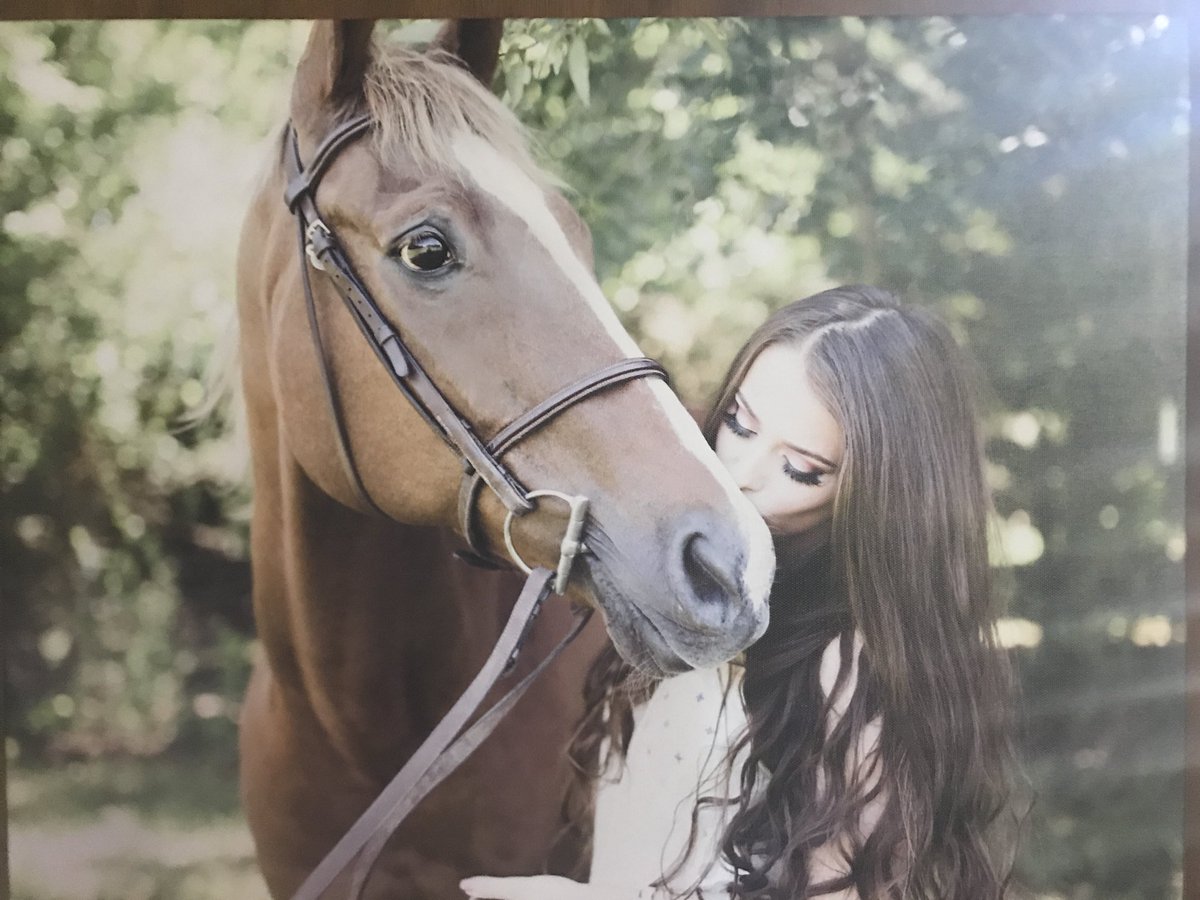 SimplyChri5tian's tweet photo. RIP Sting. You were loved more than anything. Thank you for being there for my sister and always bringing her joy. You will be missed so much! Please pray for @godsgirl8494 she will not be the same without him. 💔🙏🏻 our hearts are broken. https://t.co/gFNTBWDOyj