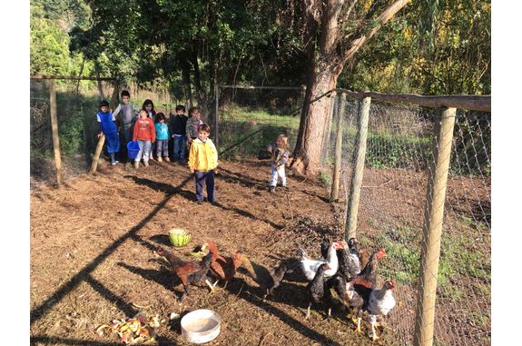 vifac2012's tweet photo. CON EL 25%
Alimentación y Seguridad: realizaremos un cerco de madera para cerrar, ya que al estar en el campo, existen ciertos peligros como canales de regadío o animales cerca, por lo que es muy necesario delimitar los espacios de Tremen. #TREMEN #MIA0122 https://t.co/0uGosYlrB9