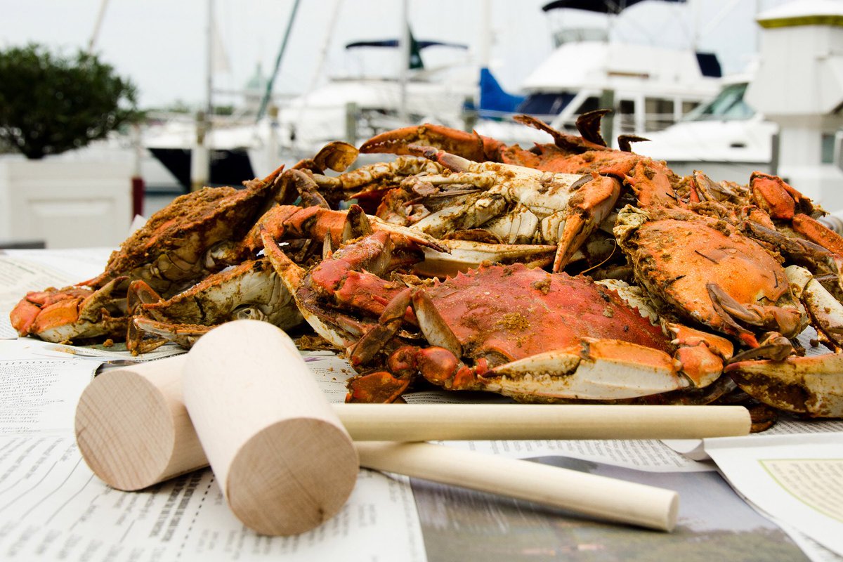 MDBlueCrabsBlog's tweet photo. Who’s already enjoying the beginning of crab season in Ocean City??? #Fingerpickingood https://t.co/VFFhcVUyGq