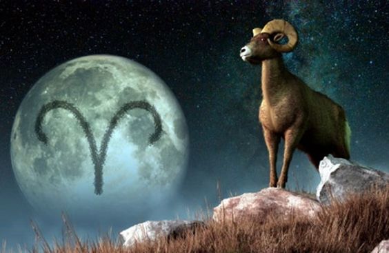 arrieess's tweet photo. Read Your Daily Career Horoscope - https://t.co/UxZ4gi2bss #aries #horoscope #zodiac https://t.co/YDq2vLWdx5