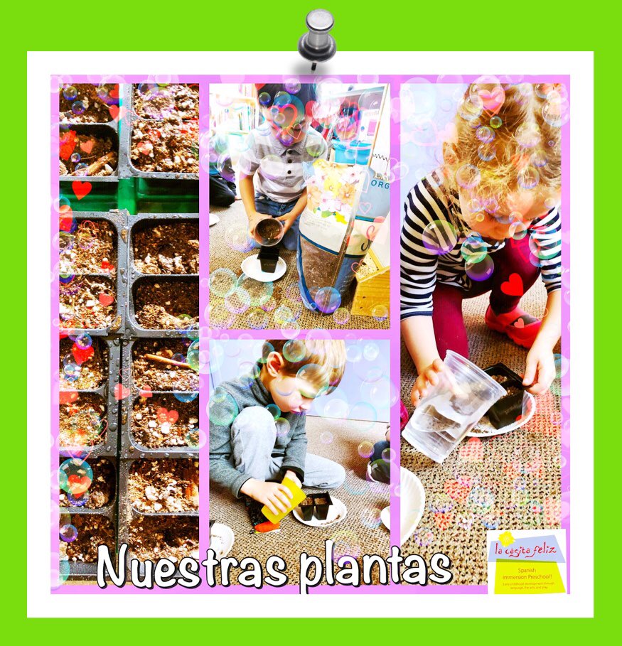 LaCasitaFeliz1's tweet photo. “Look deep into nature & then you will understand everything better” #AlbertEinstein #Nature #TheLanguageLink #LaCasitaFeliz #SpanishImmersion #quoteoftheday #EarthDay #Growing #Seeds #Learning #Teaching #Teachers #OurFuture #love #OurWorld #preschool #school #helping #myworld https://t.co/HCQzL0ogTc