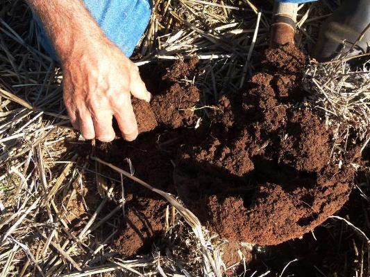 Why is soil important? Why do we need to change our agricultural soil management practices? Healthy soil = survival soilsforlife.org.au/why-is-soil-im…