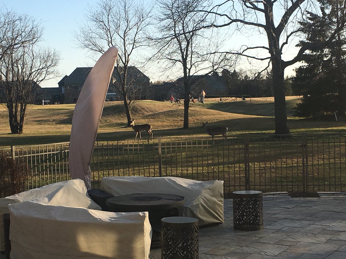 Dave Albright tweet media