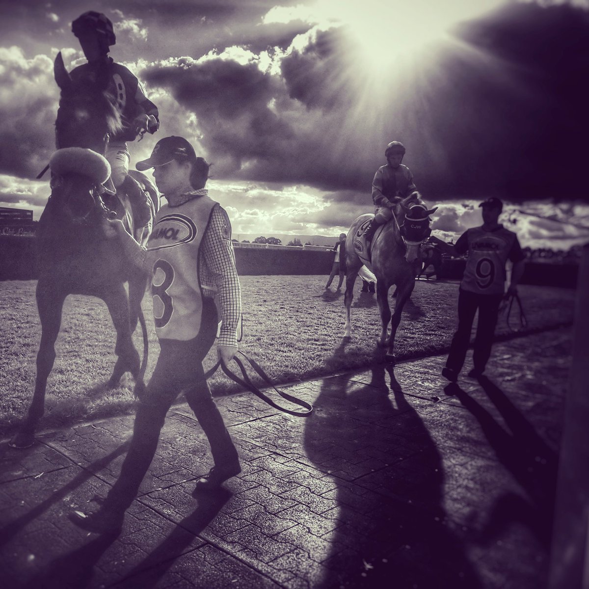 hawkesburyrc's tweet photo. A few snapshots from #StandAloneSaturday...
#hawkesburyhorses https://t.co/745IcaWzdu