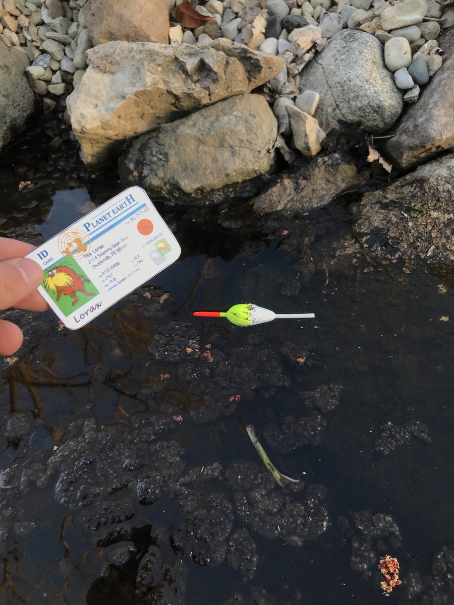 chenry1099's tweet photo. Old fishing supplies and other garbage harms the habitats and fish within a lake, all waste should be put into landfills to keep our environment as clean as possible @franklinlorax #apeswaste https://t.co/kBBmS5wNN7