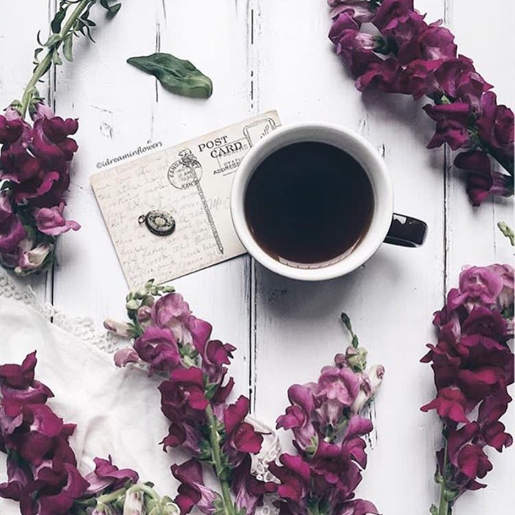 sabha93's tweet image. 