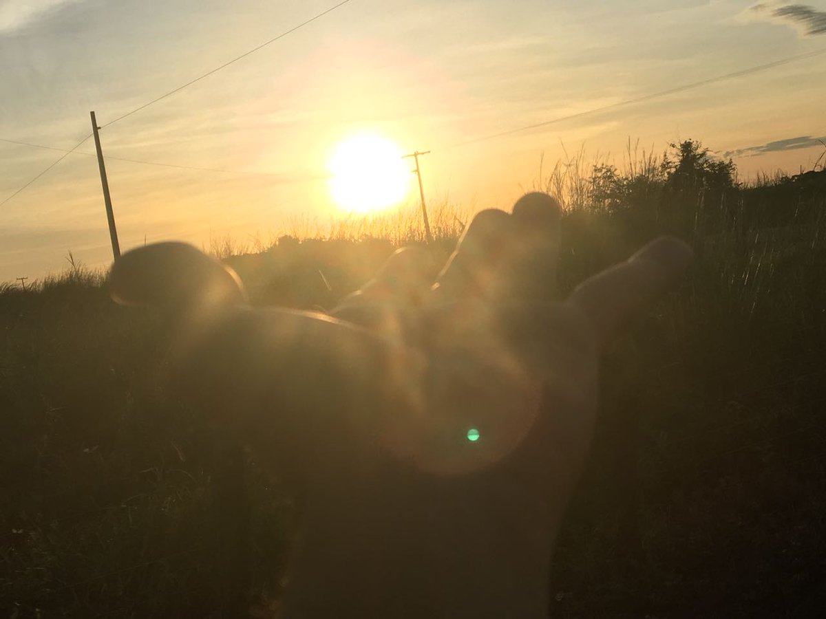 dudu_miamibeach's tweet image. 