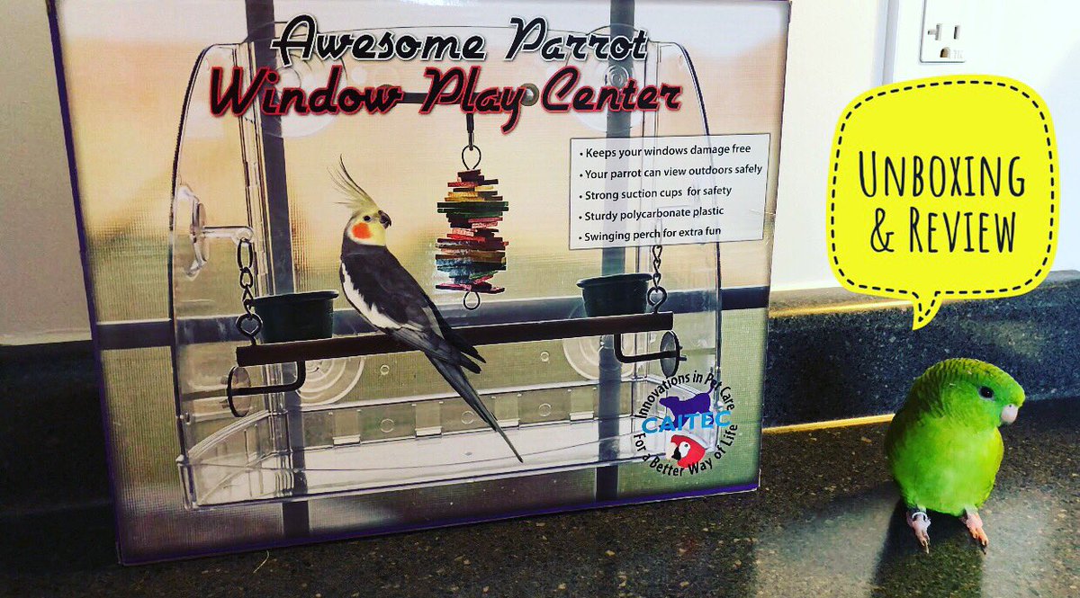 PippyPets's tweet photo. Watch me unbox and review the Awesome Parrot Window Play Centre here 👉🏼 https://t.co/b8136kIjjy.  #pet #parrots #linnie  #parrotlet https://t.co/wldzzFFzhq