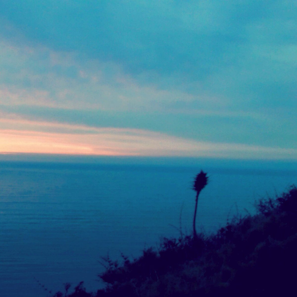 sahira_abdo's tweet photo. De repente una luz tenue, encendió el cielo por completo #QuebradaVerde Valparaíso https://t.co/4QgQrGCIk5
