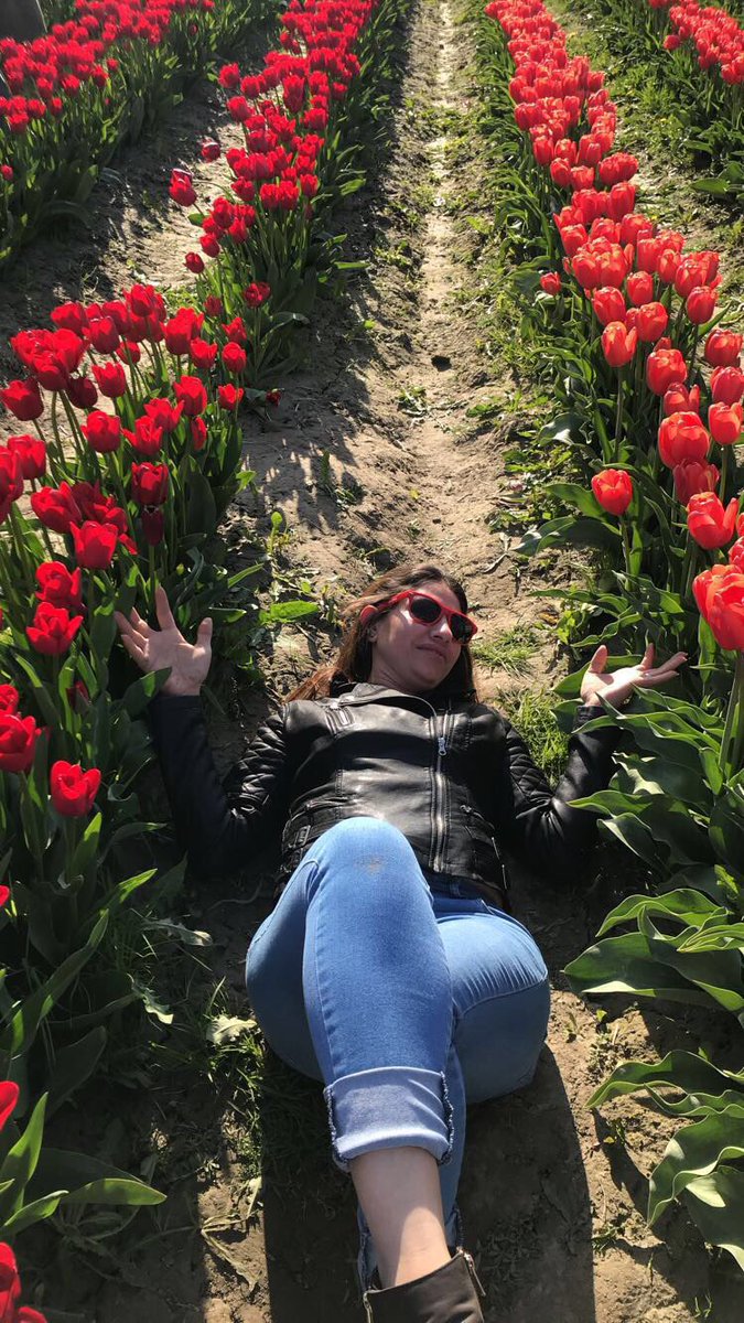 Ga1978Maria's tweet photo. #tulipfestival #BeautifulTraumaTour https://t.co/3iyUgtp6Wm