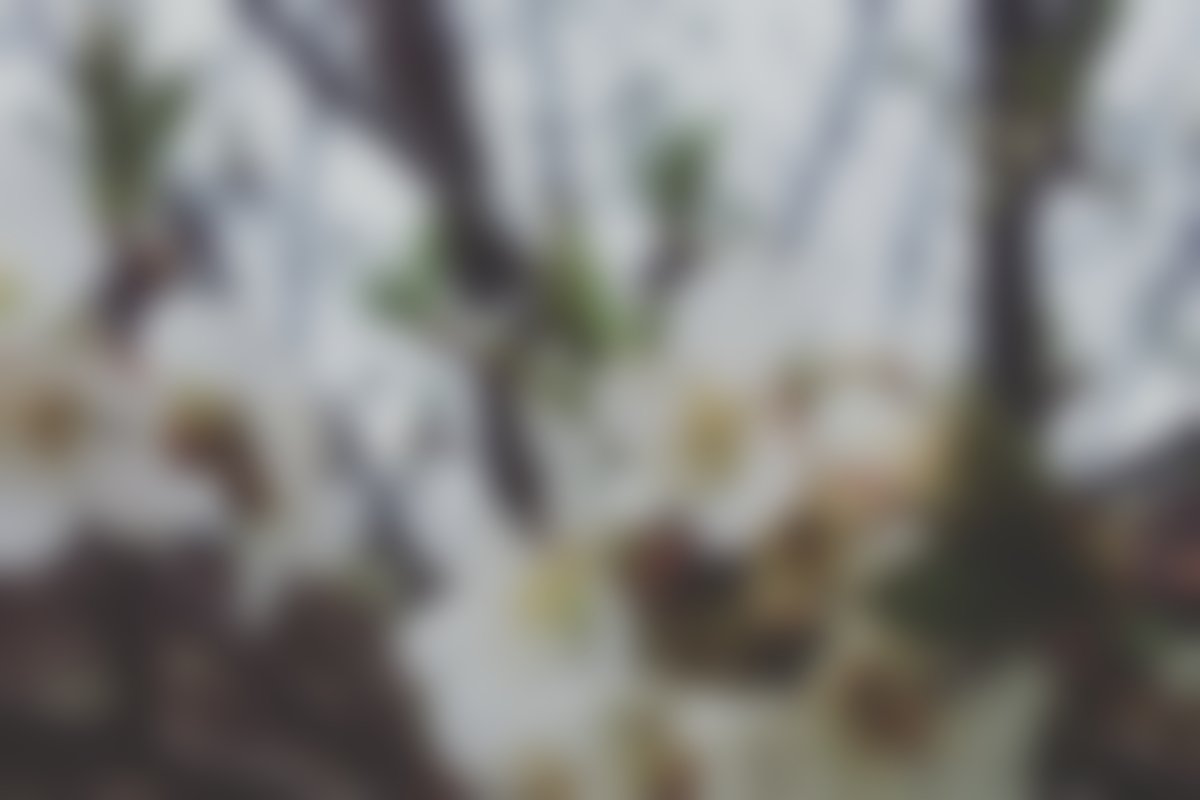 Please support my GoFundMe campaign: gofundme.com/r989r-help-us-… <a href="/gofundme/">GoFundMe</a>