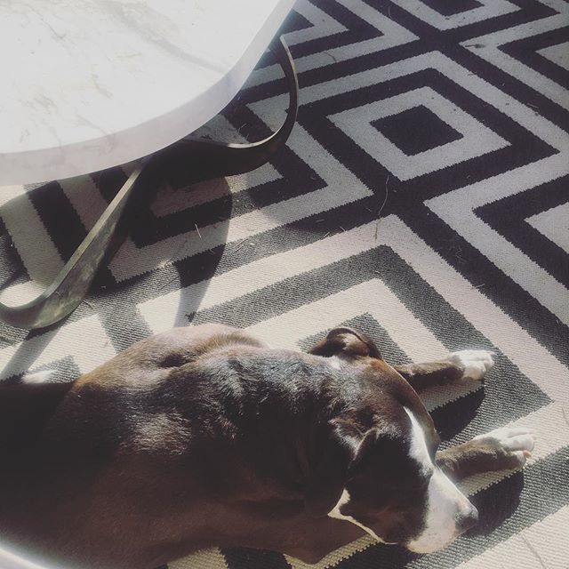 postandgleam's tweet photo. Dreamy Saturday night shapes with Audrey and our Interlock cocktail table and this sweet rug. B&amp;W on B&amp;W on B&amp;W. 
#saturdaynightvibes #howweparty #lifeofauds #geometry #b&amp;w #blackandwhite #monochrome  #betterlivingthroughgooddesign 
#cocktail #cocktailta… https://t.co/tByphM5wzG https://t.co/PjGYeTVGN1