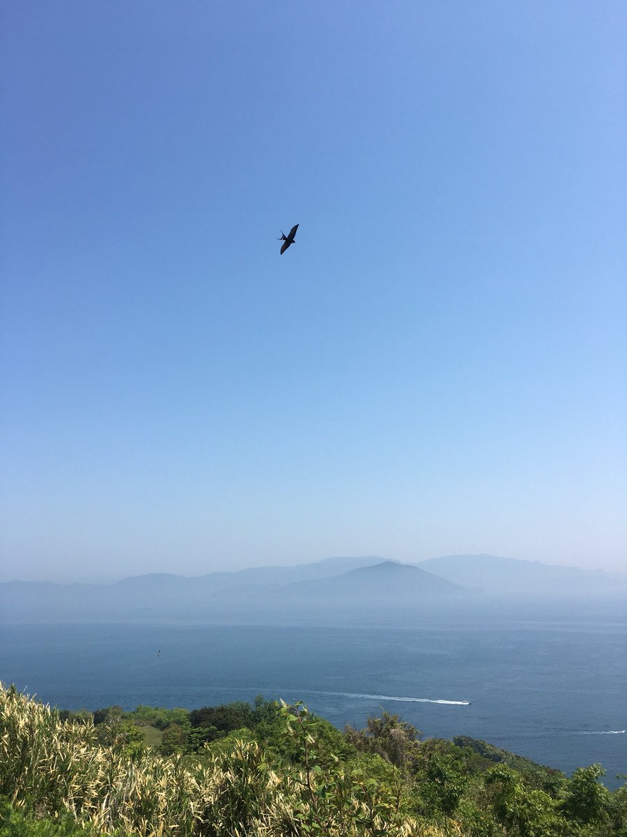 HalvmaneSpitz's tweet photo. どうしてももう一度ここに来たかった。あの夏の暑くて熱い思い出。またいつか。

おーさーえーきれぬ ぼくのきもち

#スピクライマソラ部 https://t.co/cviiffyIOW