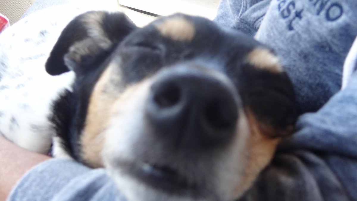 Theresa May tweet media