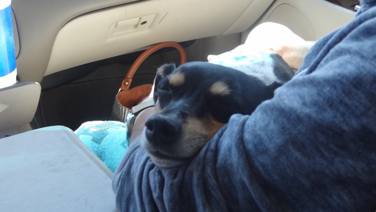 Theresa May tweet media