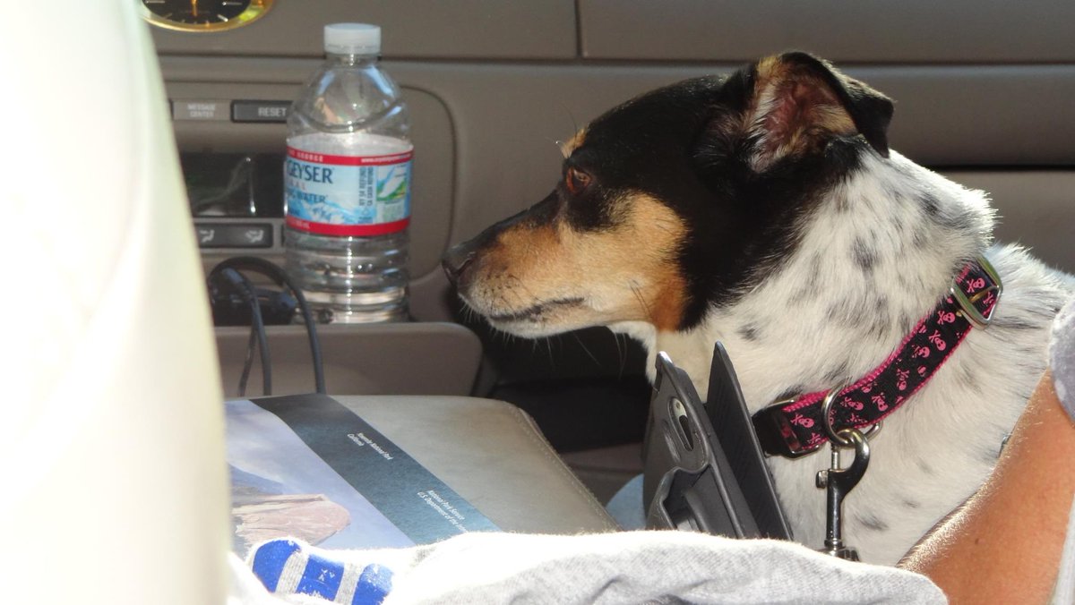 Theresa May tweet media