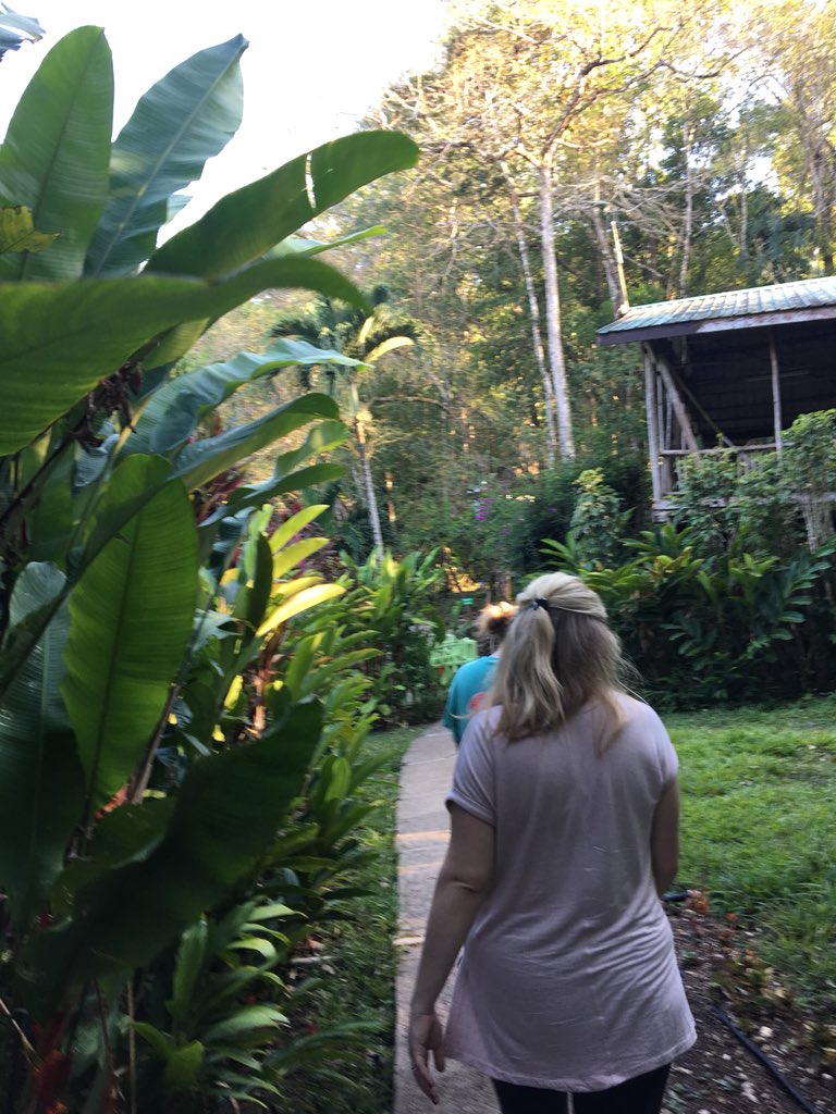 MsDobbins18's tweet photo. We made it safely to Belize! It is gorgeous here. It is so exciting to be here with future educators, and we can’t wait to be in classrooms on Monday! #WeAreUofL #BelizeITE18 https://t.co/6gSnjCtVrc