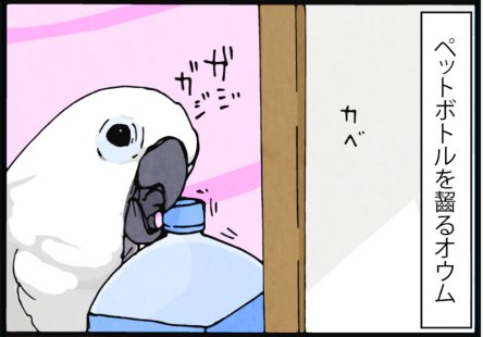 一時期ペットボトルで壁を囲んでいました。 