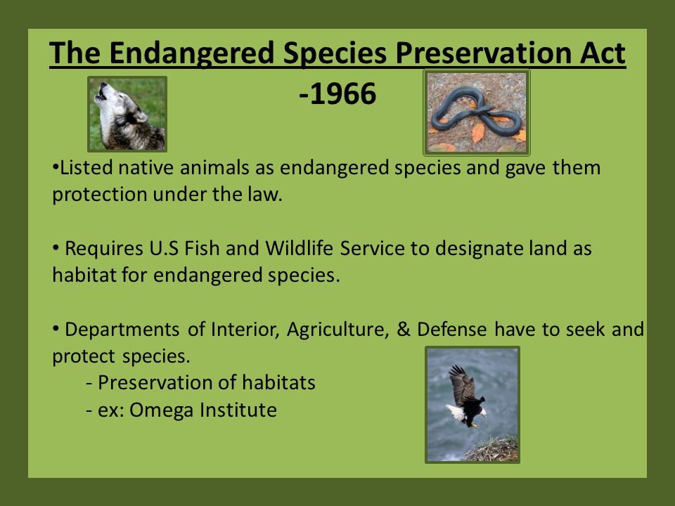 1966:Congress passes the Endangered Species Preservation Act which authorizes the Secretary of the Interior to make a list of endangered domestic fish and wildlife & allows the Fish & Wildlife Service to spend up to $15 million/yr to buy habitat for listed species  #DemHistory