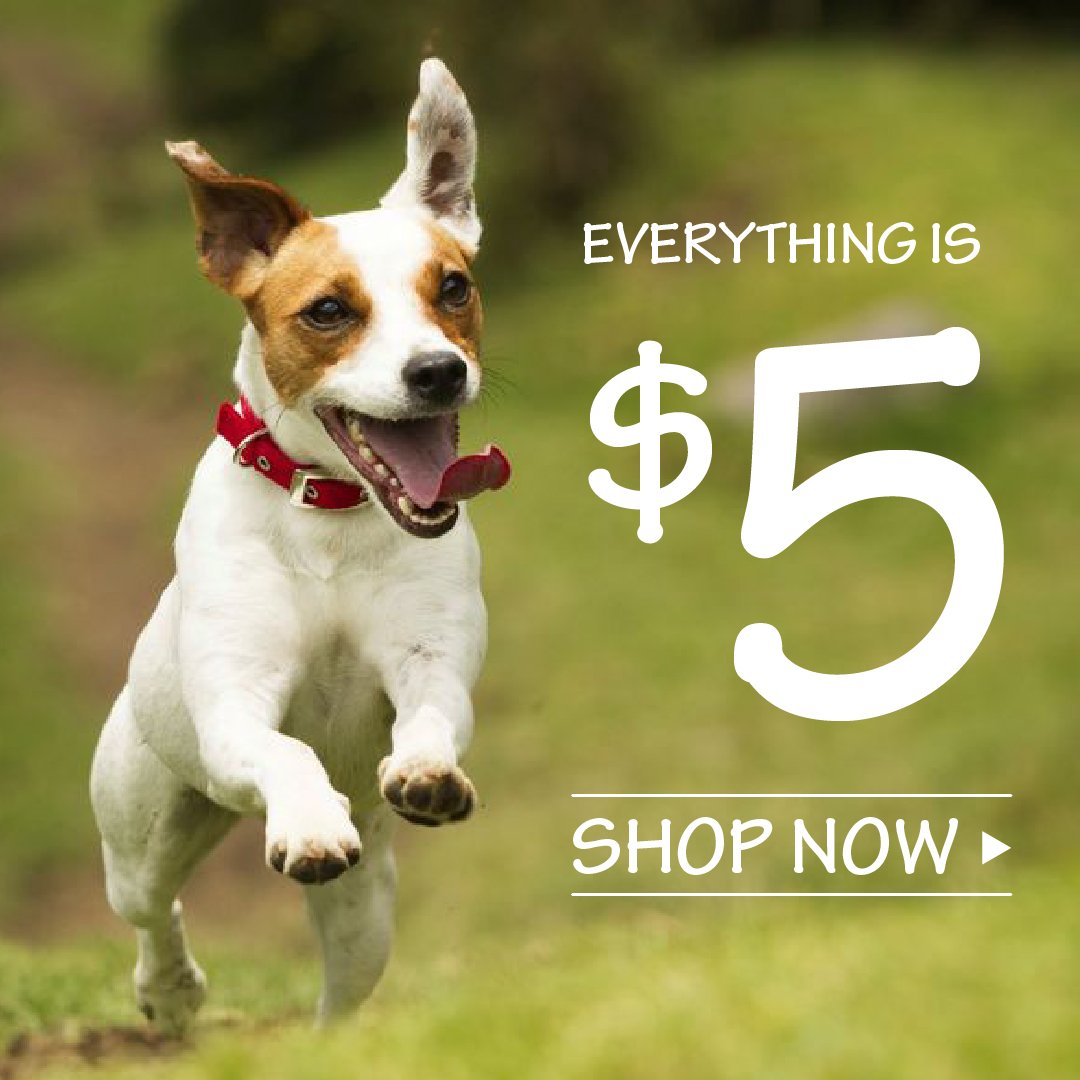 All items $5! Shop Now doggiepet.com