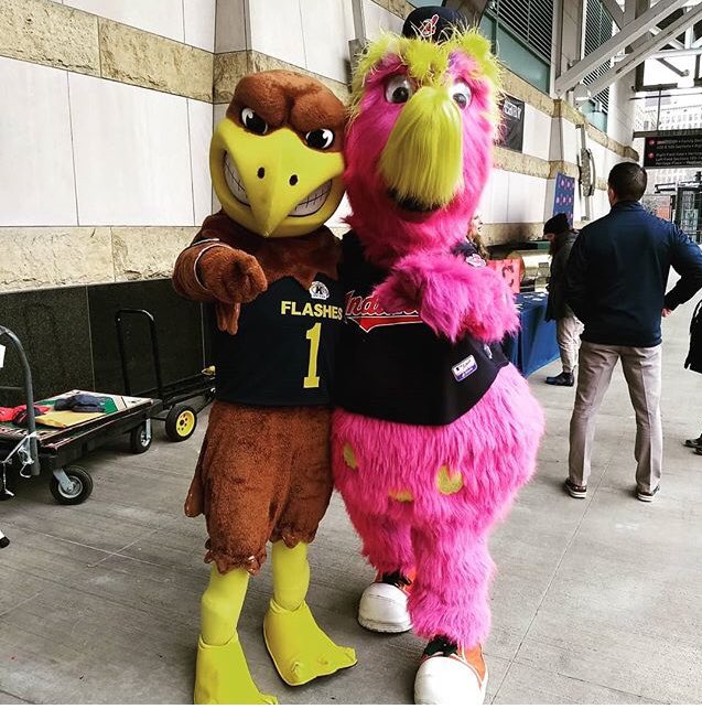 SheenaLuce's tweet photo. @KentState #ProgressiveField #KentState #KSUday @SliderTheMascot ⚾️@KentStateMascot ⚡️#GoldenFlashes 💙💛 https://t.co/zoElXAlEST