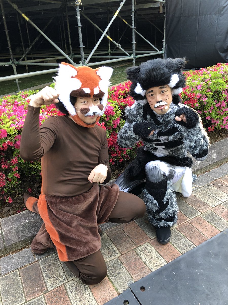 キャッツンに扮してツツジ咲き誇る鯖江市西山公園にてレキシ凱旋ライブ！最高でした！！レキシッサーパンダこと池ちゃんお疲れ様！あー楽しかった！ #レキシ